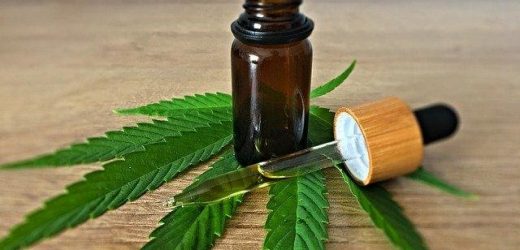 CBD Oil: Benefits and Uses